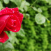 371_10.jpg 371_10.jpg